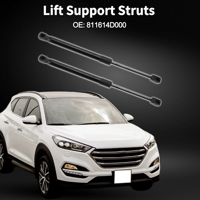Hyundai Entourage Hood Lift Supports Struts (2007-2009)