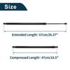 Chrysler Town & Country Rear Gate Lift Supports (2008-2016)