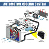 BMW Coolant Radiator Reservoir Tank with Cap and Sensor (2019)