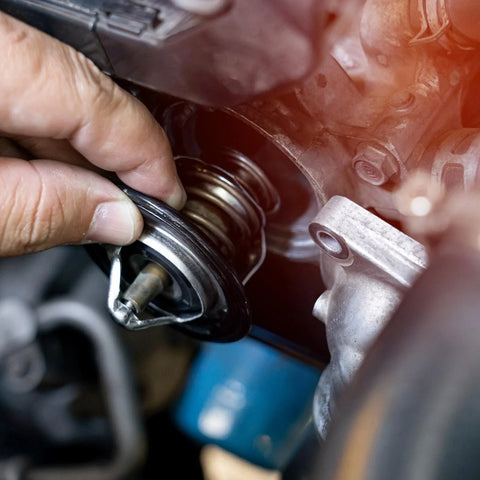 Toyota Camry, RAV4, Venza, Highlander Engine Coolant Thermostat