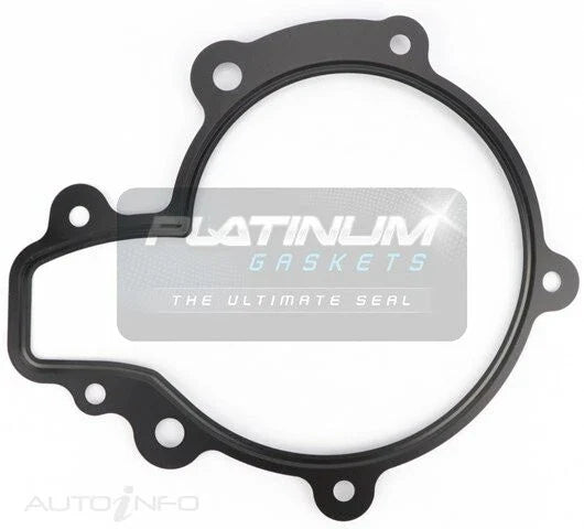 Holden Cruze JG 2.0L Z20S Z20S1 Water Pump Gasket (2009–2011)