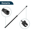 Dodge Intrepid Front Hood & Tailgate Lift Supports Struts Set (1998-2004)