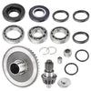 Honda Recon 250 TRX250 / TE / TM / TRX250X Rear Differential Rebuild Gears