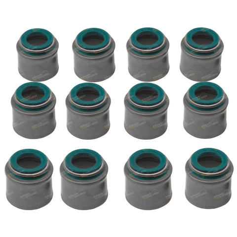Patrol GQ GU Inlet & Exhaust Valve Stem Seal Set 4.2L 6cyl (1988 - 2006)