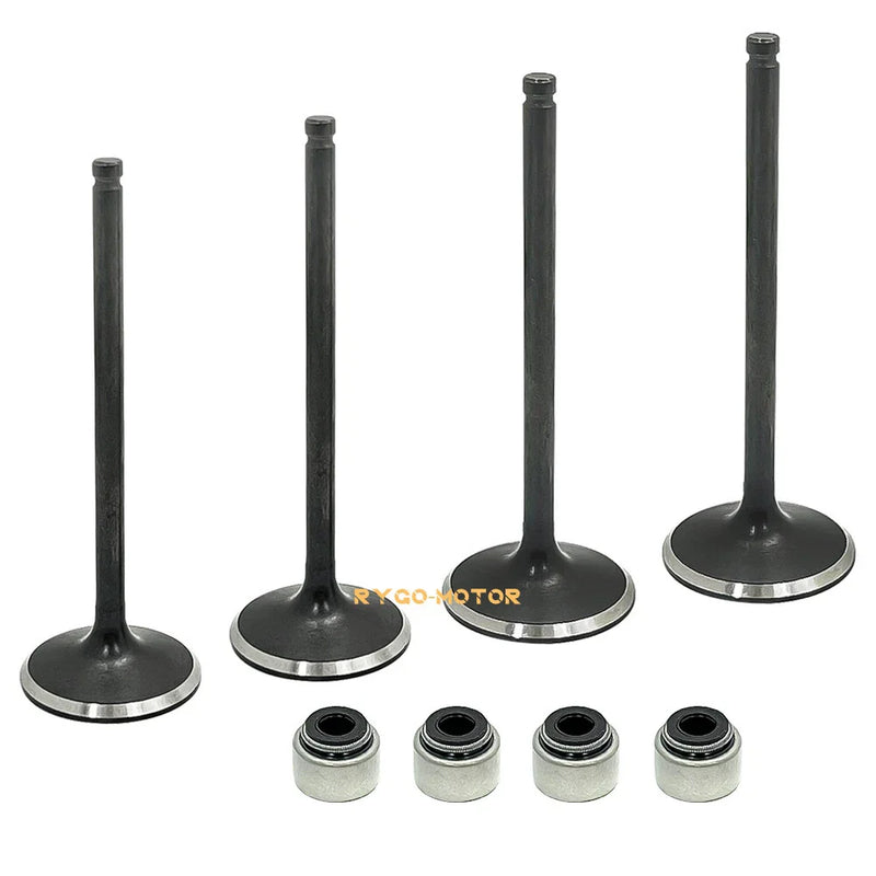 Polaris Predator 500 Valve Seals / Head Intake-Exhaust (2003–2007)