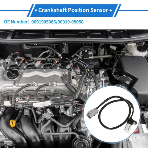 TOYOTA Hilux Crankshaft Position Sensor (2005–2015)