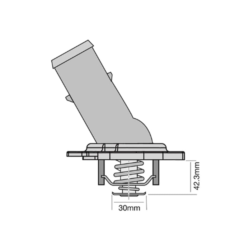 Toyota Landcruiser Prado Thermostat (2003–2018)