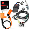 Honda FourTrax TRX300 Ignition Coil CDI Spark Plug Wire Harness (1997–2000)