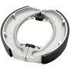 Honda TRX300FW Fourtrax 300 Rear Brake Shoes & Bearing Seals (1988–2000)