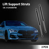 BMW 323i Rear Hatch Lift Supports (2006-2011)