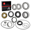 Suzuki Ozark 250 Rear Differential Axle Bearing Seal (2002-2009, 2012-2014)