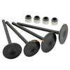 Polaris Predator 500 / Outlaw 500 Head Intake Exhaust Valves Seals (2003–2007)