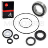 Honda FourTrax 300 TRX300FW Rear brake drum bearing & seal kit (1988–2000)