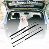 Buick Rainier Rear Window Glass & Hatch Lift Supports Struts (2004-2007)