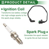 Honda TRX250X 2013-2019 Ignition Coil (2 x Coils)