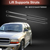 Dodge Journey Rear Hatch Lift Supports Gas Strut (2009-2020)