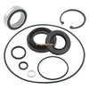 Honda Rancher 420 TRX420FM Rear Drum Bearing Seals & Shoes (2007–2013)