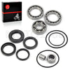 Honda TRX300 Rear Differential Bearings Seals Kit (1990-2000)