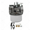 Briggs & Stratton (Carby) 798653 697354 790290 791077 698860 Carburetor