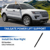 Ford Explorer Rear RH Tailgate Lift Support (2016-2019)