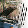Nissan Murano Z50 Hood & Hatch Lift Supports (2003-2007)