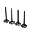 EZGO Gas 4 Stroke Intake & Exhaust Valve Set (1996-2026)