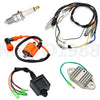 Yamaha Blaster YFS200 Ignition Coil Spark Plug CDI Harness Assy (1997–2001)