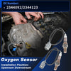 Honda Odyssey 3.5L V6 Oxygen Sensors (1999-2000)