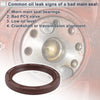 Mazda 3 Crankshaft Oil Seal (2003-2019)
