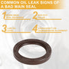 Chevrolet Cruze 1 x Crankshaft Oil Seal (2011–2016)