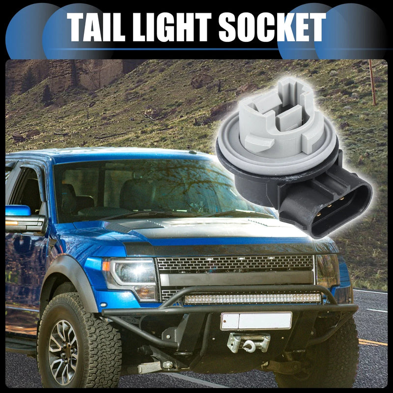 Ford Mustang, Focus, F-150 Tail Light Socket (1994-2023)