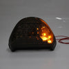 Kawasaki Ninja ZX-12R Tail Light Brake Light Turn Signals (2000-2005)