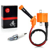 ARCTIC CAT 700 EFI 2 x Ignition Coil & Spark Plug (2006–2008)