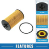 Chevrolet Aveo 1.6L Engine Oil Filter with O Ring (2004-2011)