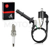 Suzuki Quadracer 450 LTR450 Ignition Coil & Spark Plug CAP (2006–2009)