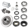 Honda Rancher 400 TRX400 Rear Differential Gear Bearing Rebuild Kit