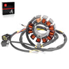 Polaris Sportsman 500 6x6 Stator (2002)