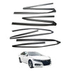 Honda Accord 2008-2011 Door Glass Run Channel Set