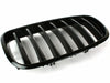 BMW E70 X5, E71 X6 Front Bumper Kidney Grille (2007-2013)