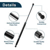 Honda Civic Hatchback Rear Hatch Lift Supports (2016-2023)