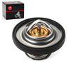 Polaris Sportsman 1000 XP / Touring XP Thermostat & O-Ring (2015–2025)