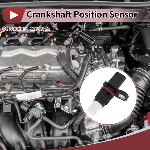 Chevrolet Colorado 3.6 Crankshaft Position Sensor (2017-2022)