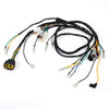 Yamaha Blaster 200 YFS200 wiring harness (2003–2006)