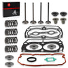 Polaris RZR S4 800 Cylinder Head Gasket & Seals (2011–2014)