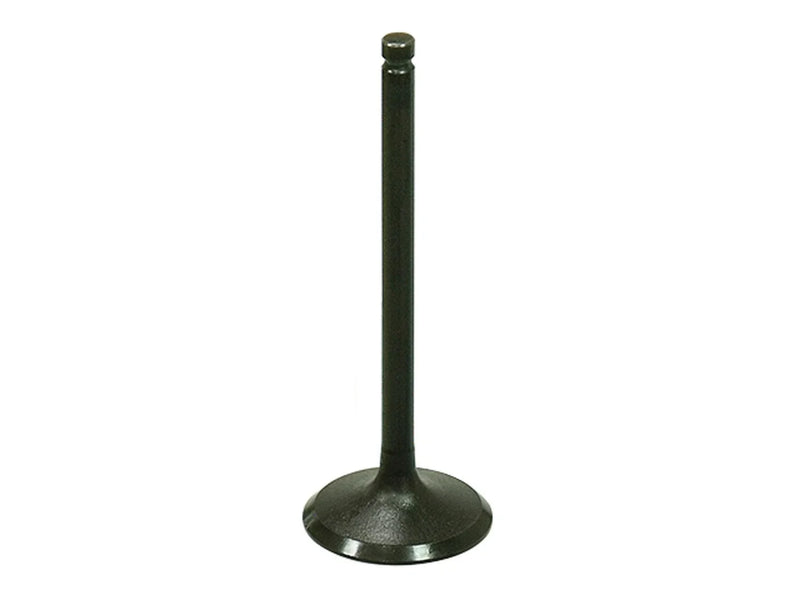 Suzuki QuadRunner 230 LT230E Bronco Engine Intake Valve (1987–1993)