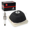 YAMAHA TTR125 / TTR-125 E / L / LE Air Filter Assembly (2000-2024)