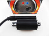 YAMAHA XV250 V-STAR FORSETI Ignition Coil Spark Plug Cap Assembly (08-11)