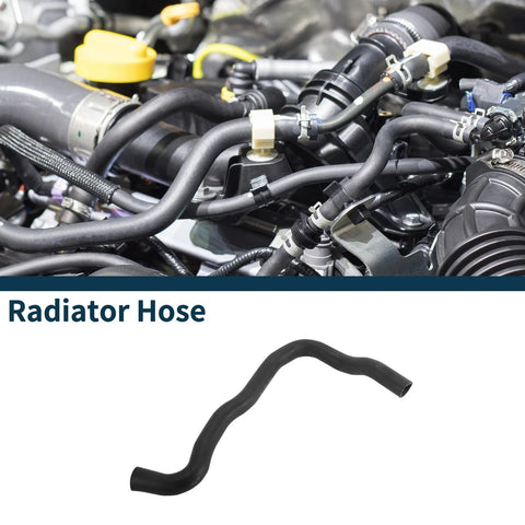 Kia Sorento Radiator Hose (2012-2015)