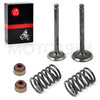 Club Car FE290 Golf Cart Engine Rebuild Kit Piston Gasket Valve