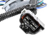 Cadillac Escalade, Chevrolet Suburban, Tahoe Tail Light Wiring Harness (2002-2006)